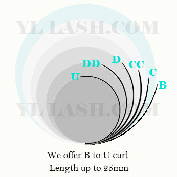 Cashmere PRO Extra Matte Deep Black Lashes【0.07mm 16-lines】【Best Quality Ever】