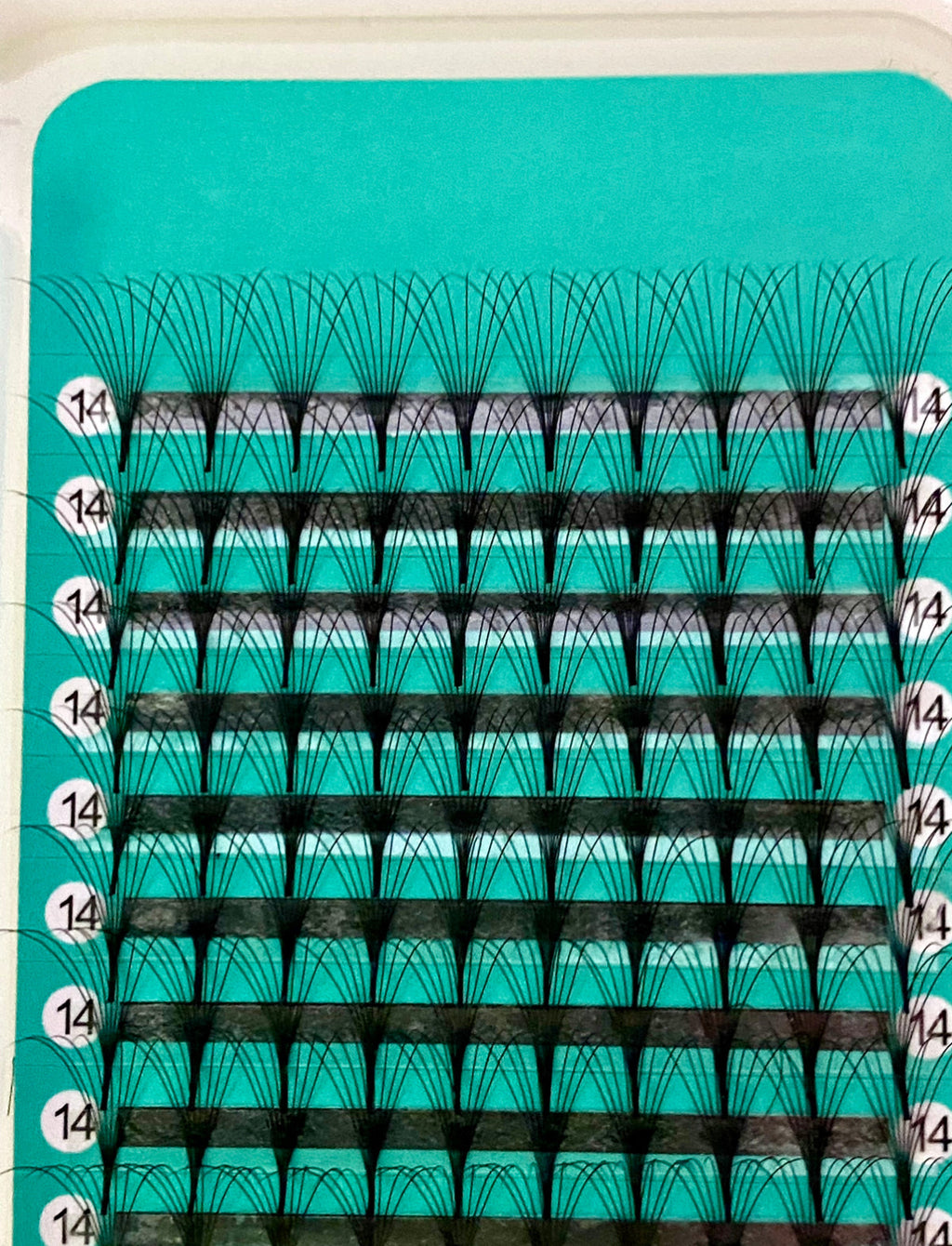 8D - 0.07mm Slim/Pointy Root Medium Stem Premade Fans 16 lines 160 fans NO-Logo【Sale】
